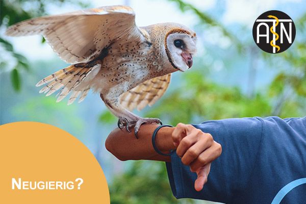 Tiertrainer Ausbildung bei der ATN